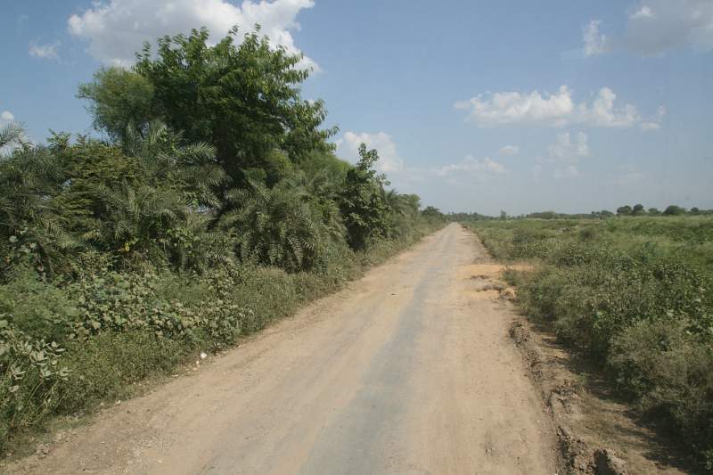 India & Nepal 2011 - 0976